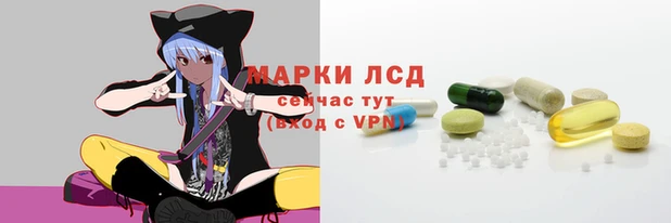 ПСИЛОЦИБИНОВЫЕ ГРИБЫ Медвежьегорск