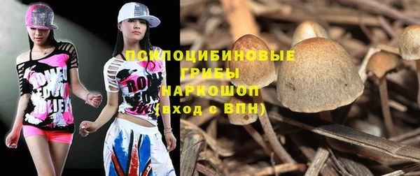 ешки Михайлов