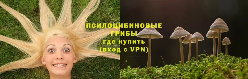 Псилоцибиновые грибы MAGIC MUSHROOMS  купить  цена  Мураши 