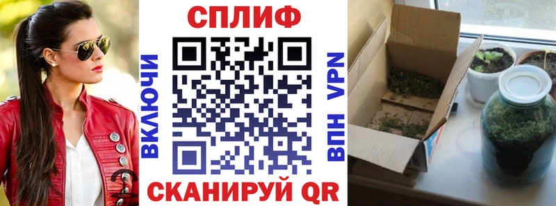 Шишки марихуана индика  Мураши 